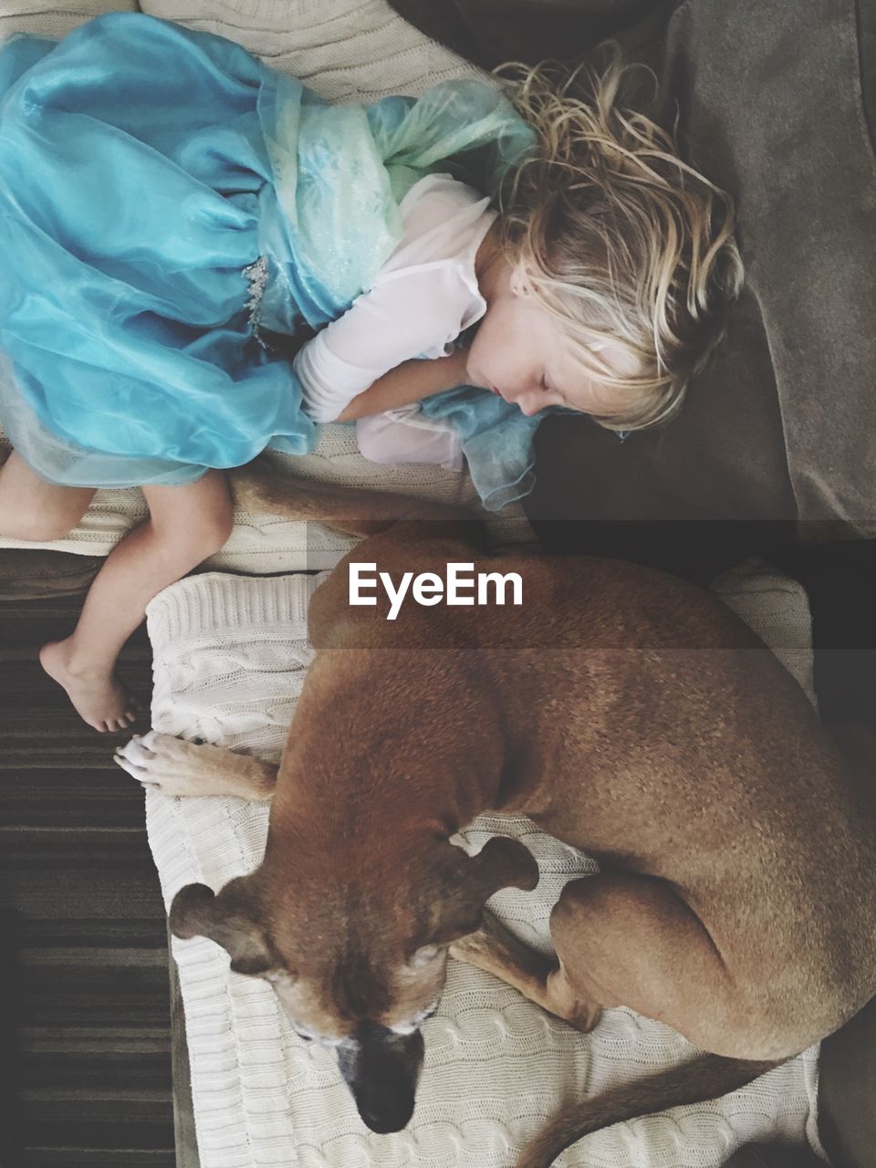 High angle view of girl sleeping on sofa by dog at home