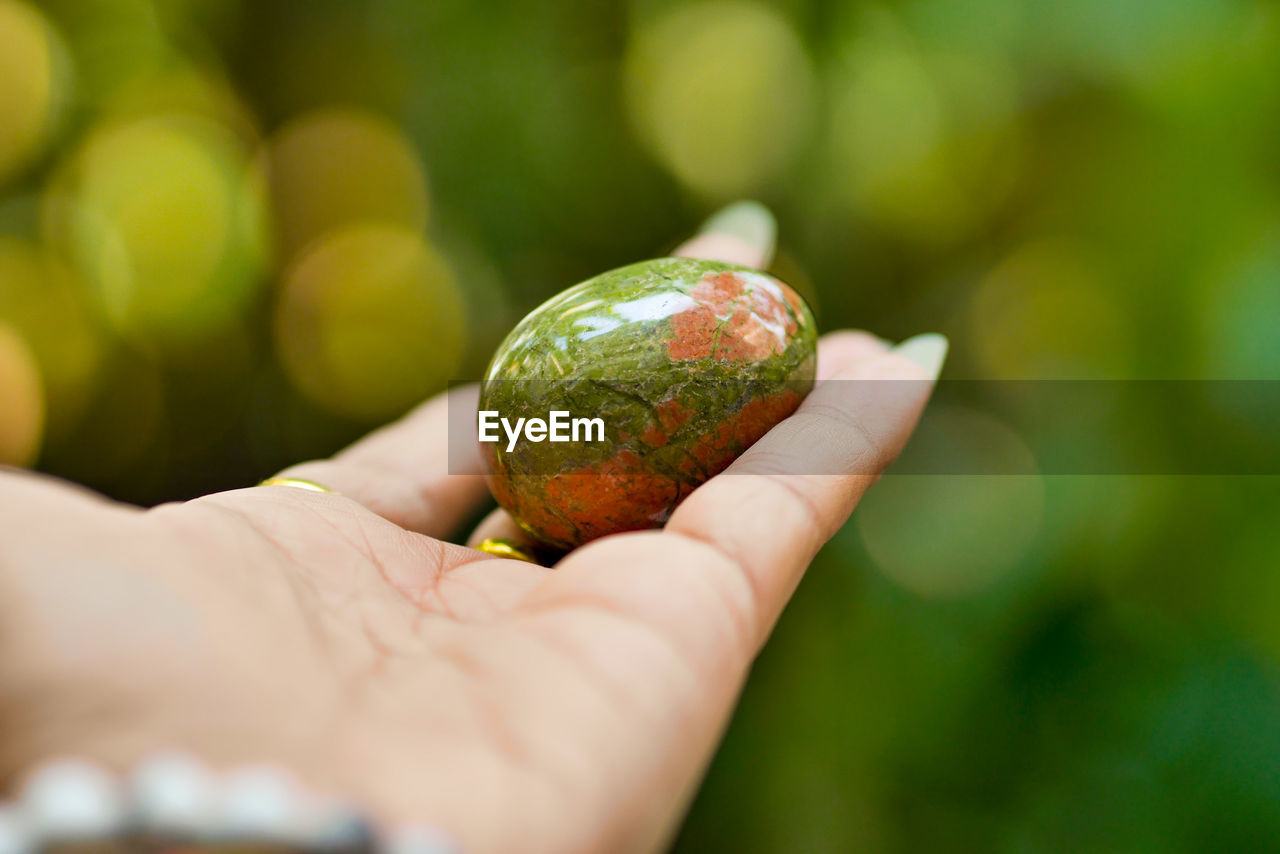 CLOSE-UP OF PERSON HAND HOLDING FRUIT