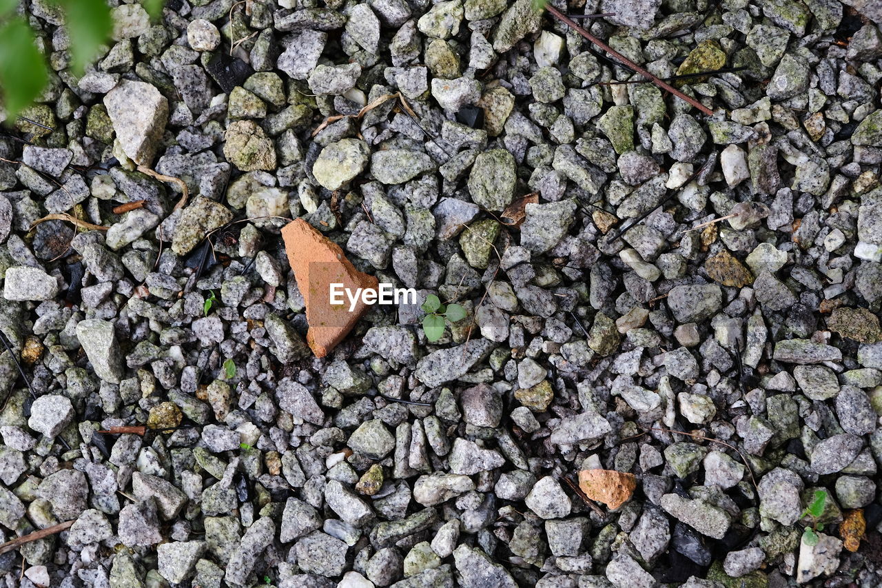 HIGH ANGLE VIEW OF STONE ON FIELD