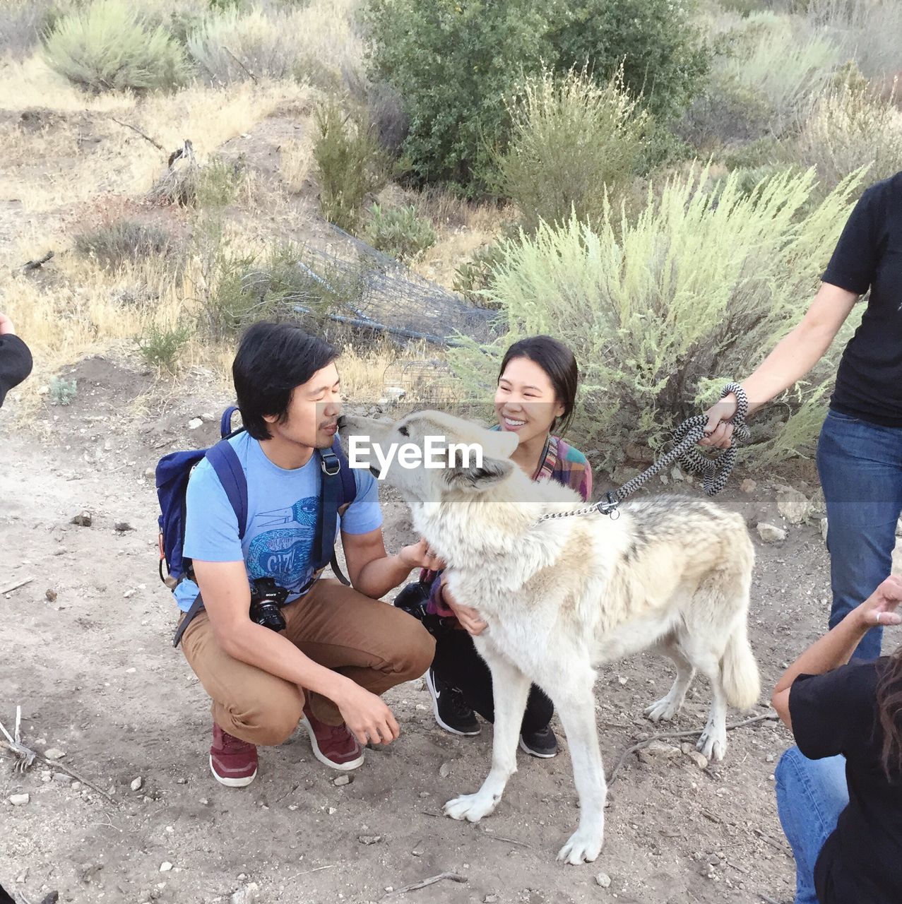 Young couple playing with dog while crouching outdoors