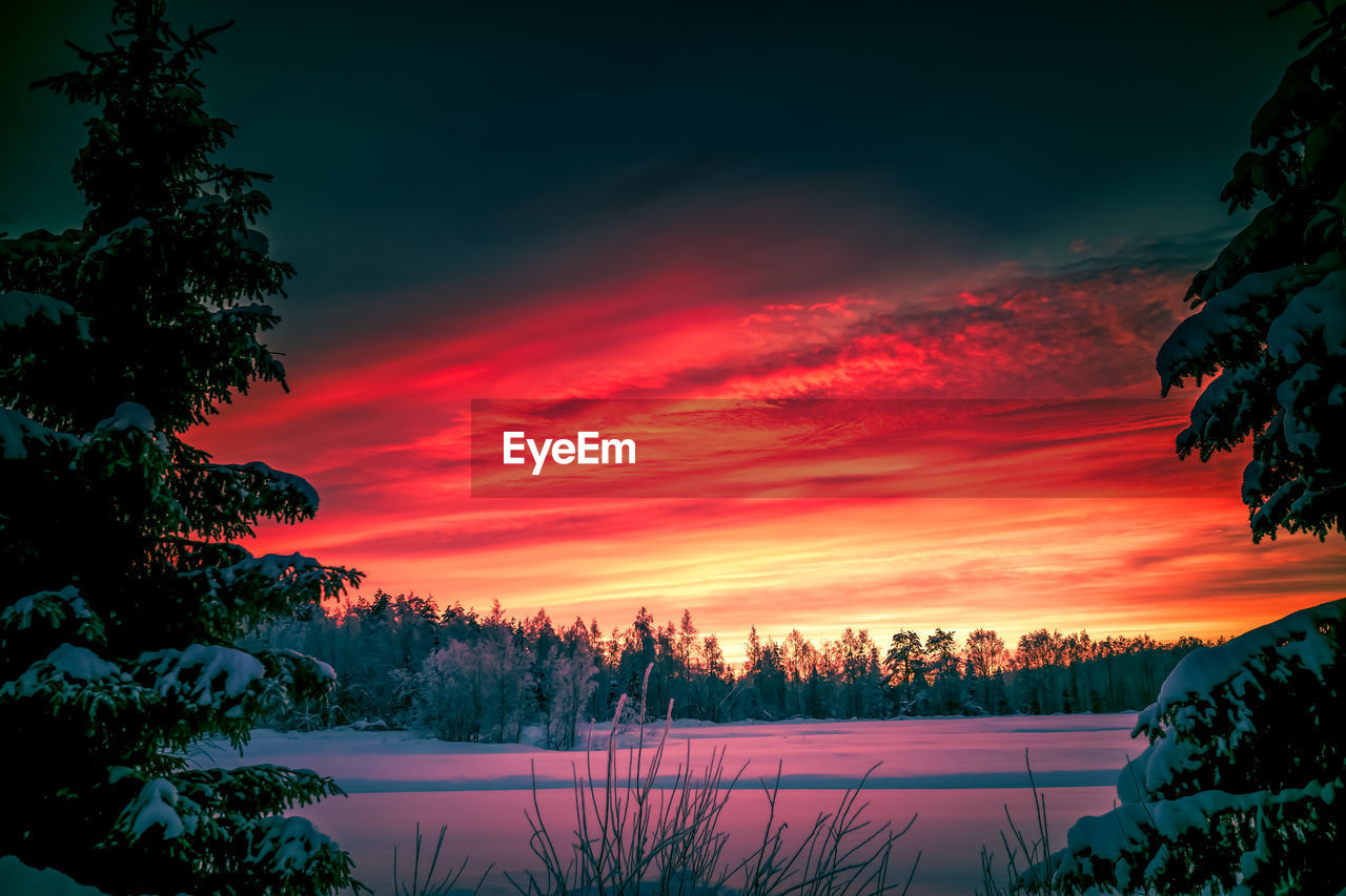 Scenic view of snow covered trees against orange sky