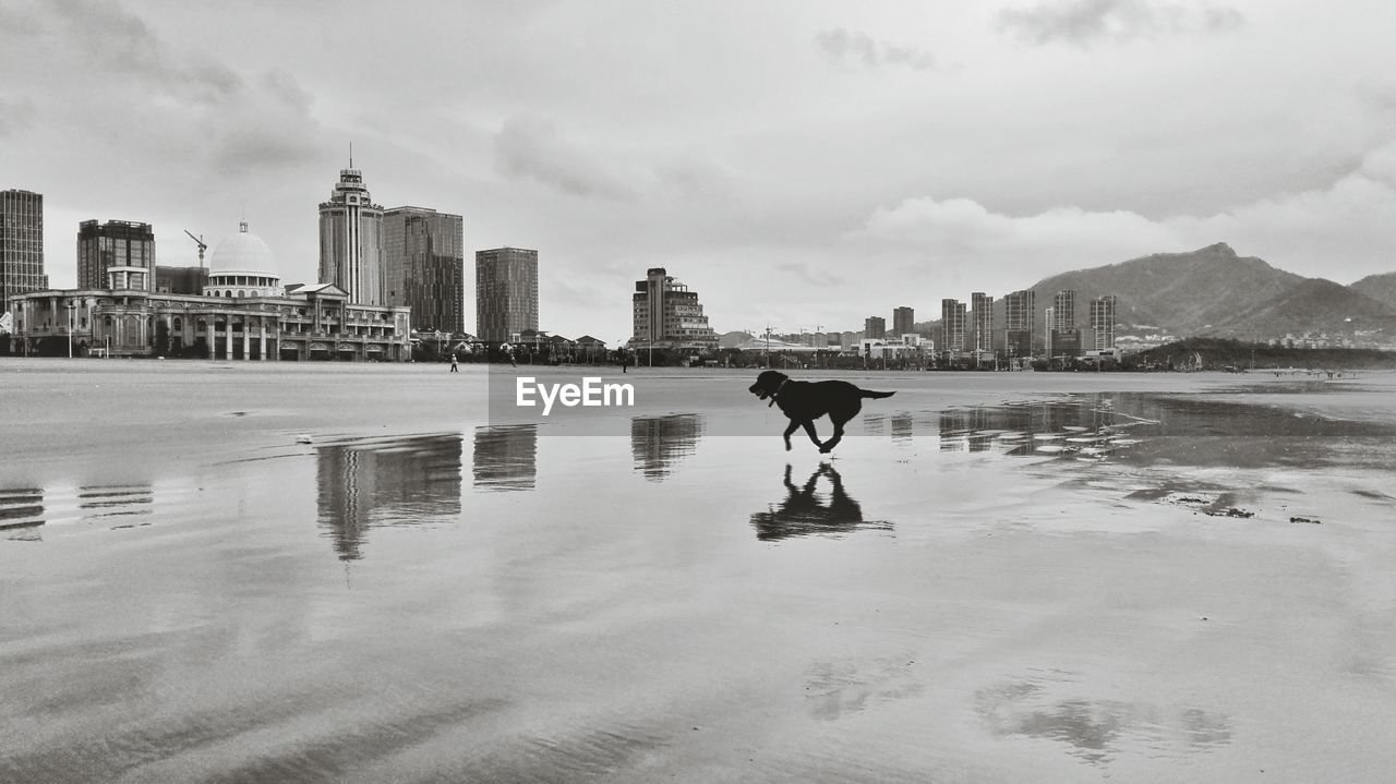 Man standing in city against sky