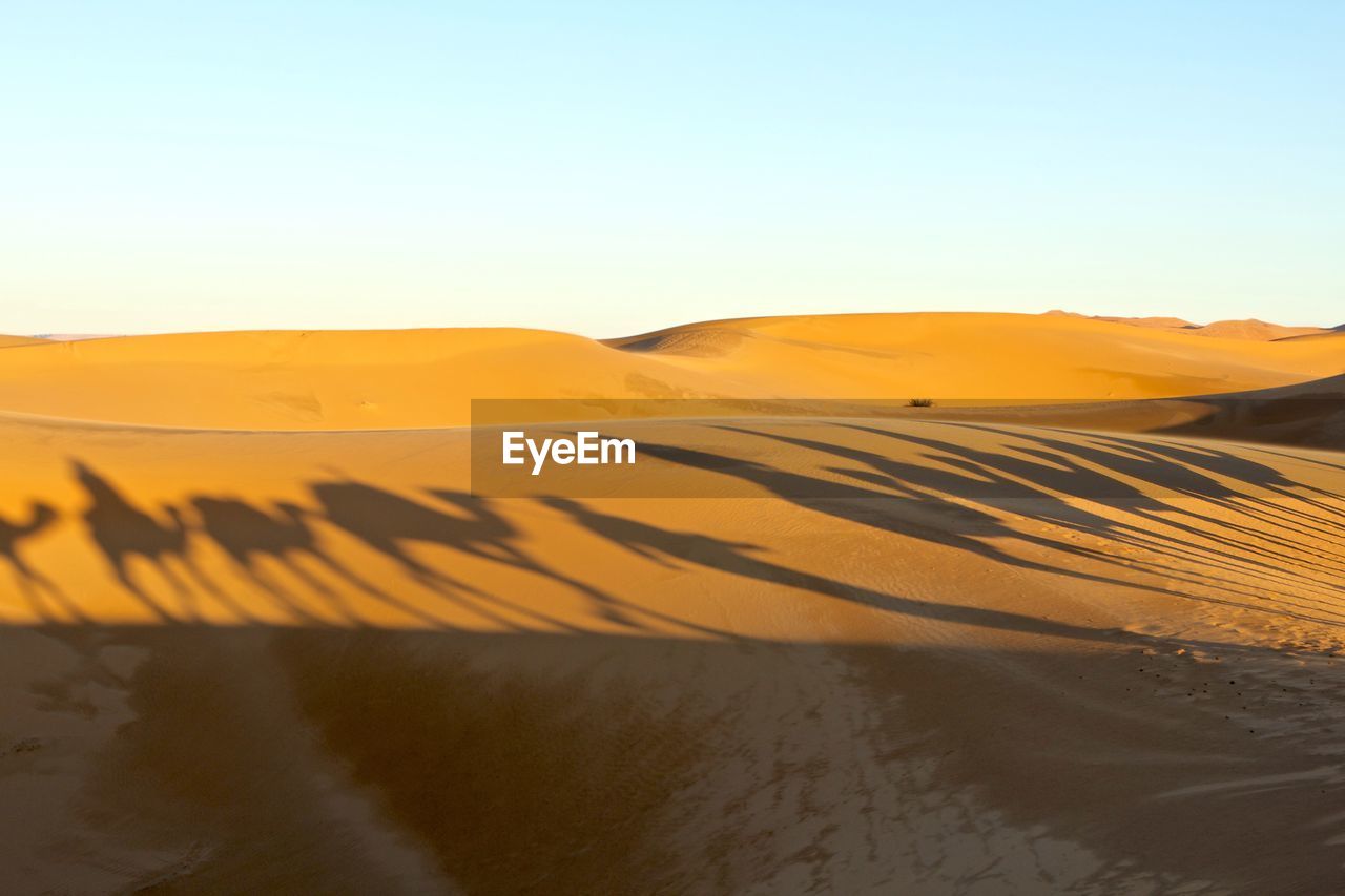 Scenic view of desert against clear sky