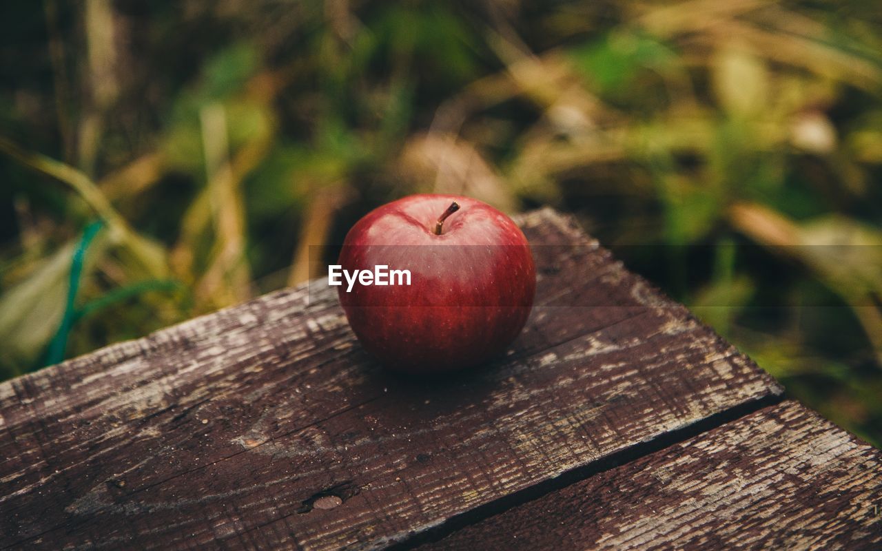 High angle view of apple on wooden table