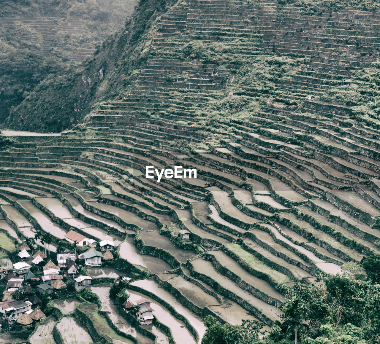 High angle view of agricultural field