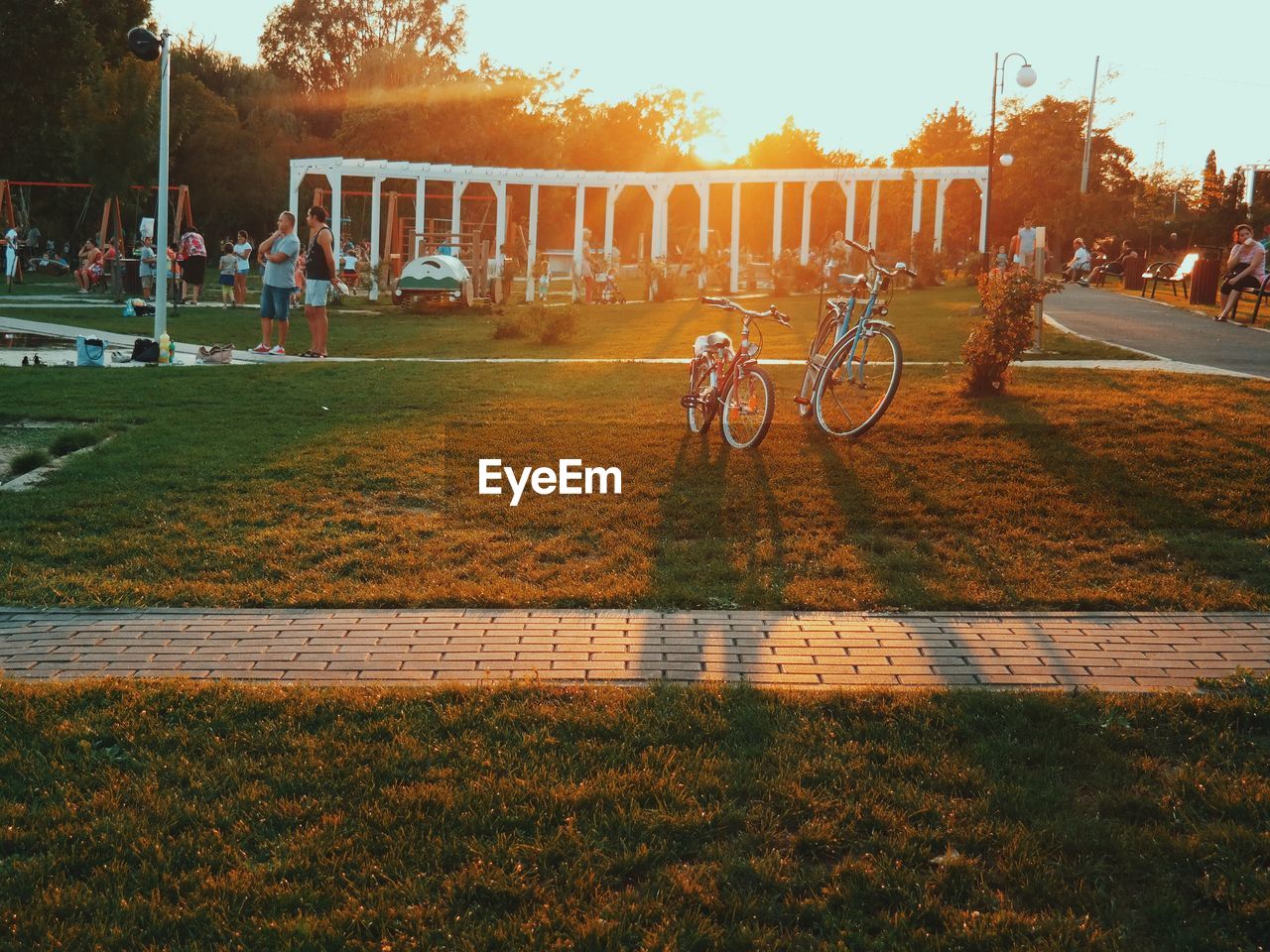 People in park during sunset