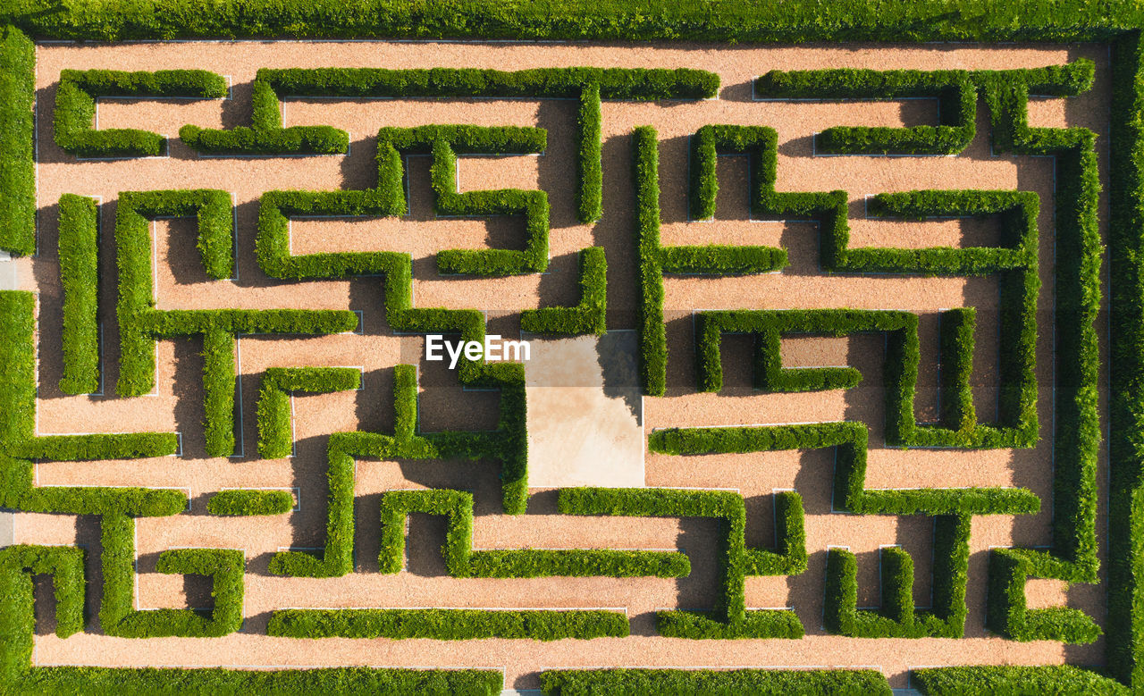 Aerial view of green maze garden. nature background.