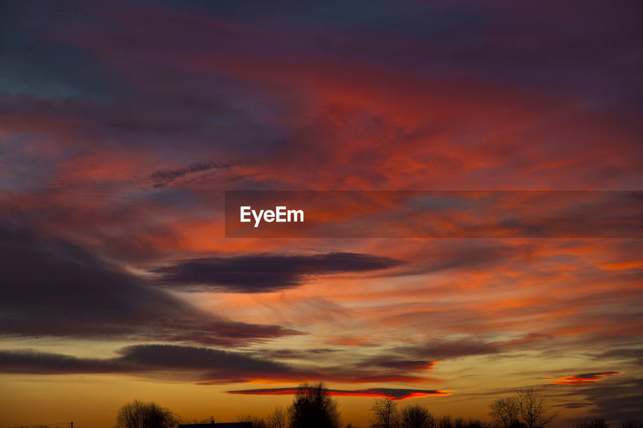 Silhouette trees against dramatic sky during sunset