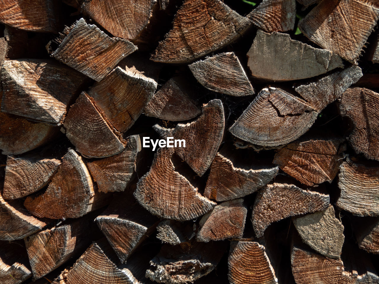 Full frame shot of logs in forest