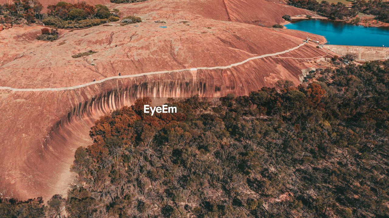 HIGH ANGLE VIEW OF TREES IN THE LANDSCAPE