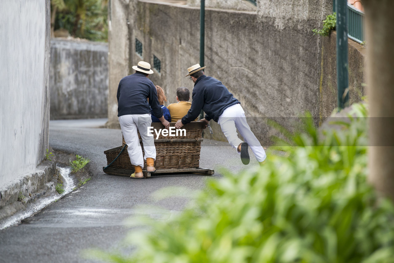 REAR VIEW OF MAN WORKING ON PLANT