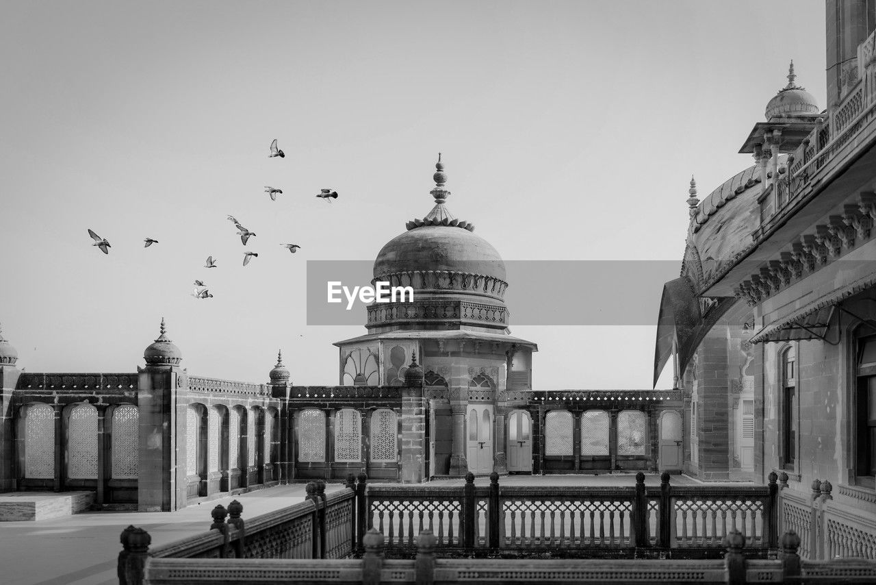 architecture, built structure, building exterior, black and white, travel destinations, dome, monochrome, sky, bird, monochrome photography, landmark, city, animal themes, animal, nature, travel, government, animal wildlife, tourism, building, history, the past, wildlife, cityscape, urban area, clear sky, flock of birds, outdoors, group of animals, day, place of worship, flying, large group of animals, religion, street