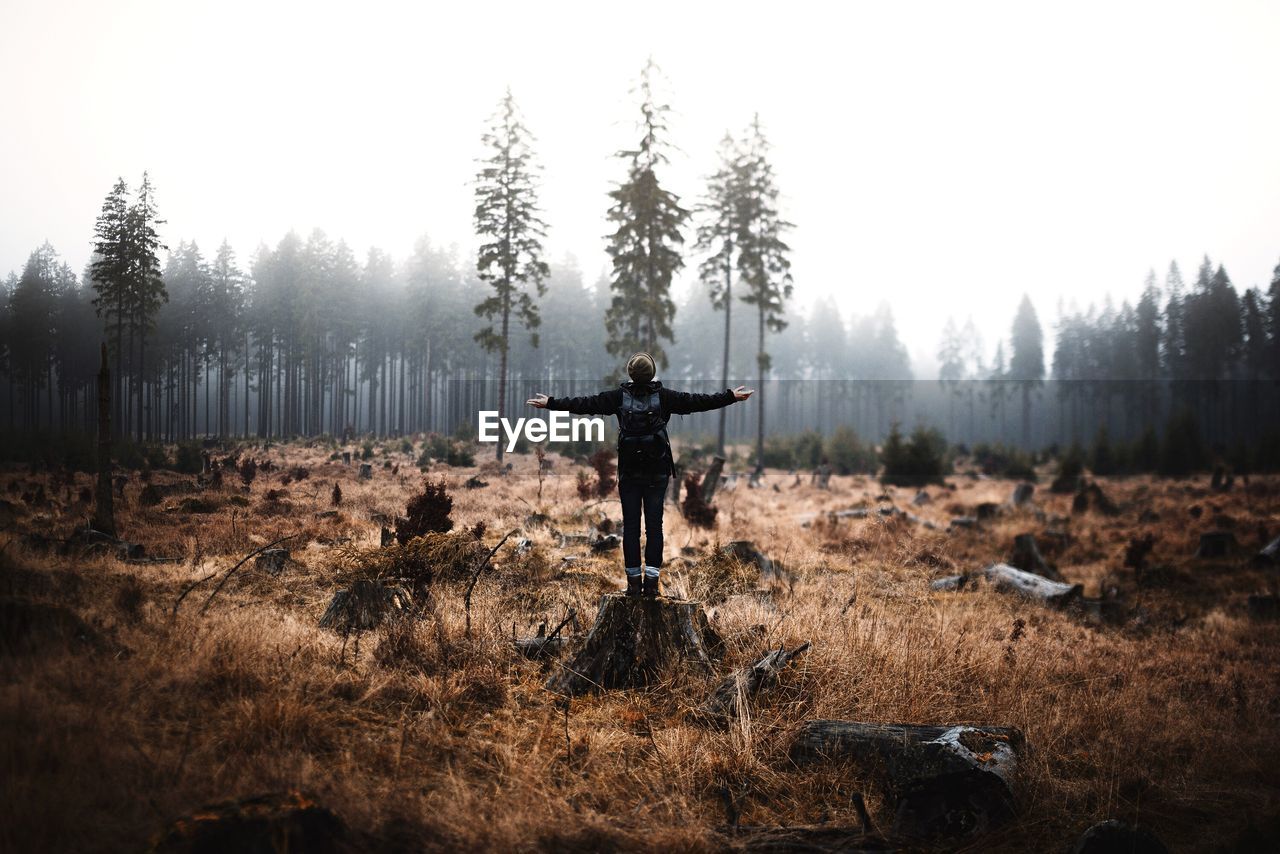 Rear view of woman standing on tree stump with arms outstretched against sky