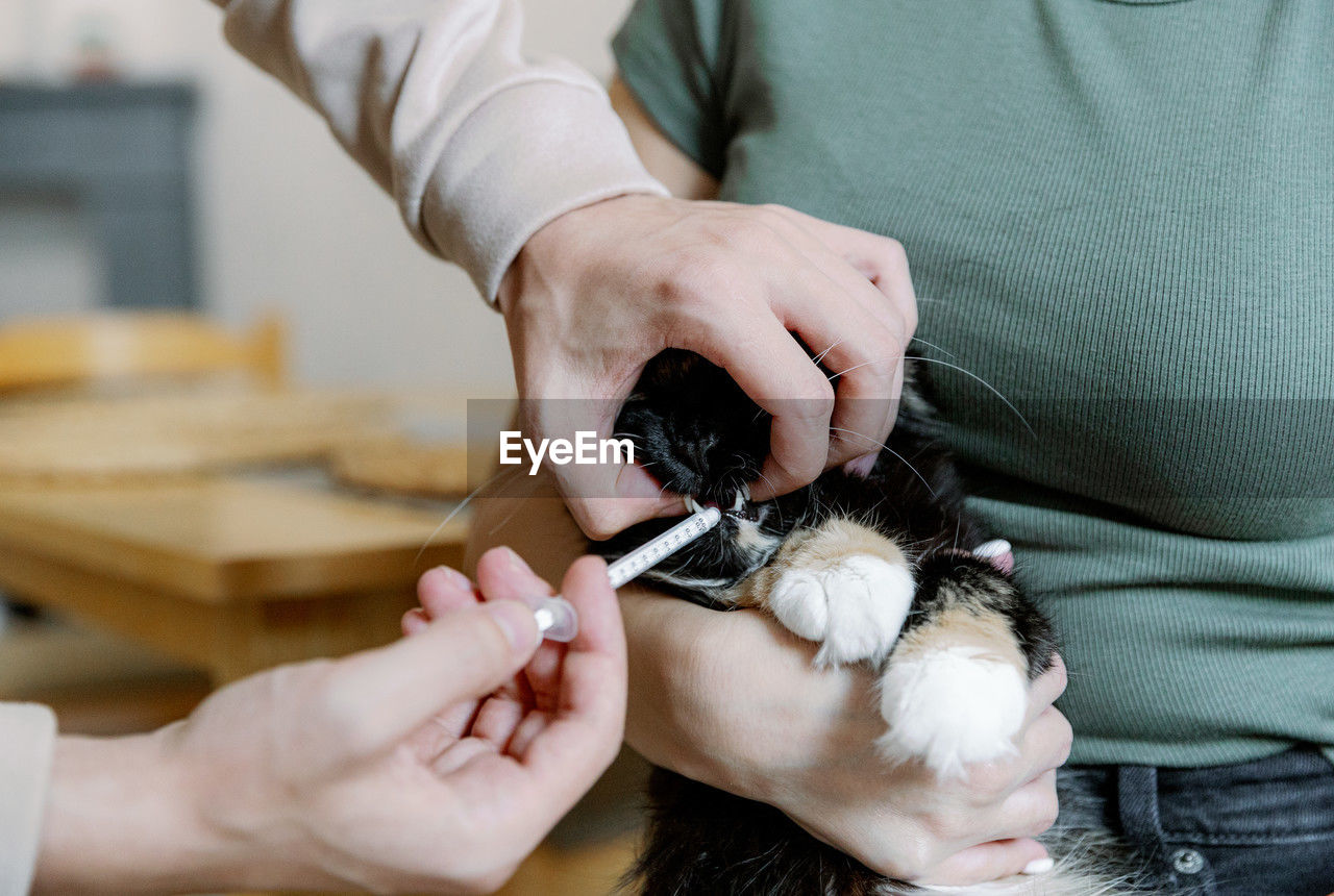 A young man gives medicine to a cat sitting in the arms of a girl.