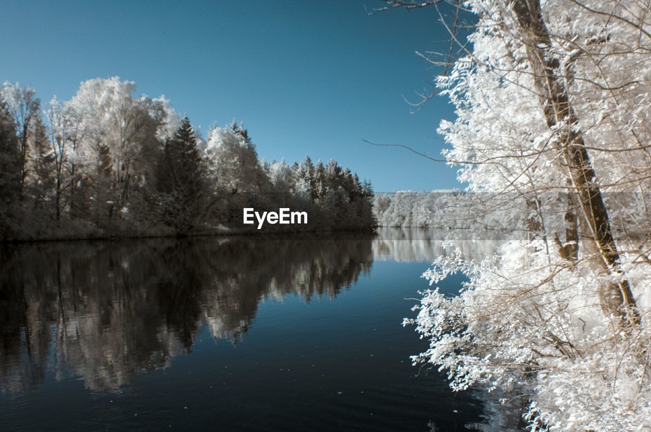 Scenic view of river amidst trees against clear blue sky