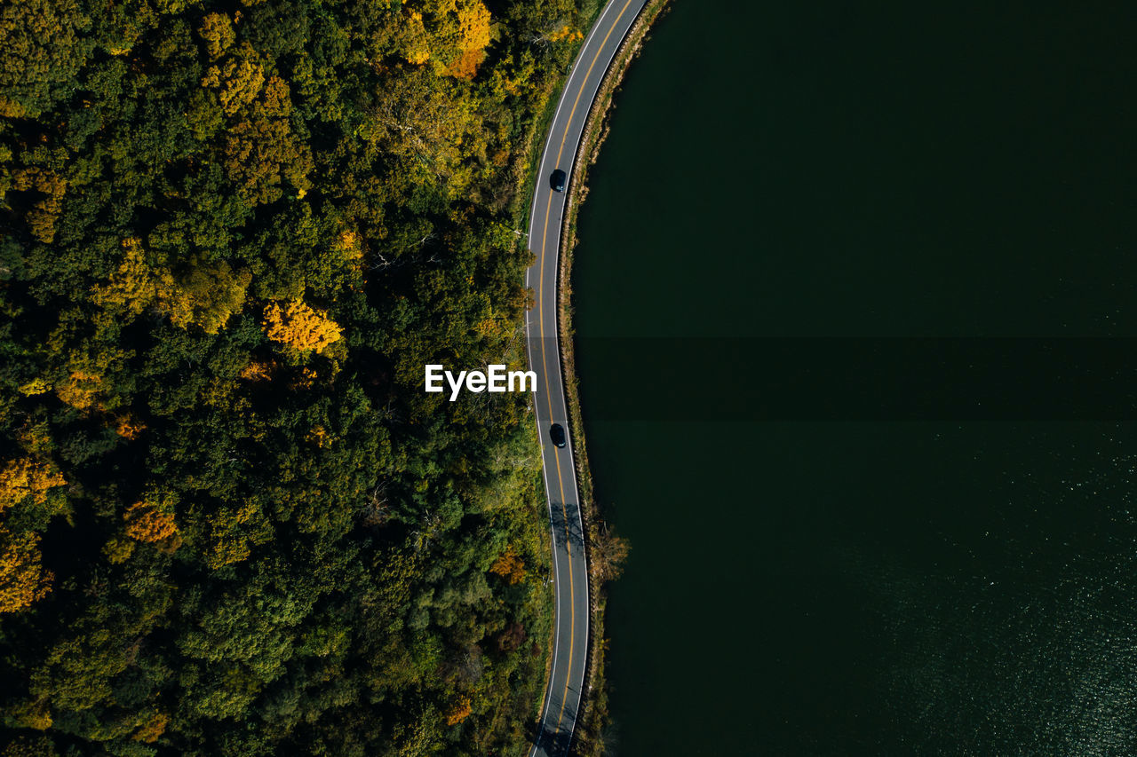 High angle view of road amidst trees