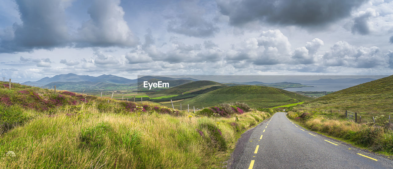 Road leading trough valley with green fields and farms, dingle peninsula, wild atlantic way, ireland