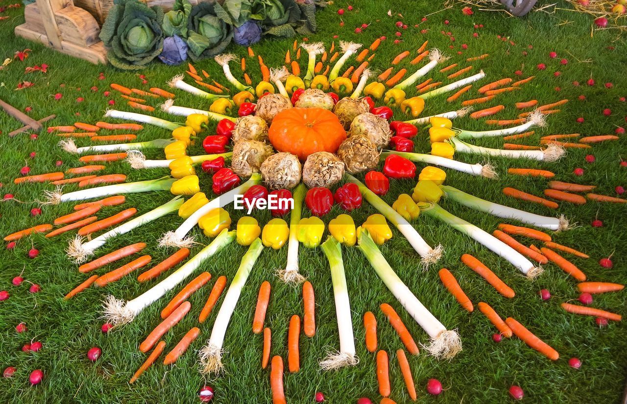 High angle view of floral pattern made of colorful vegetables on grassy field