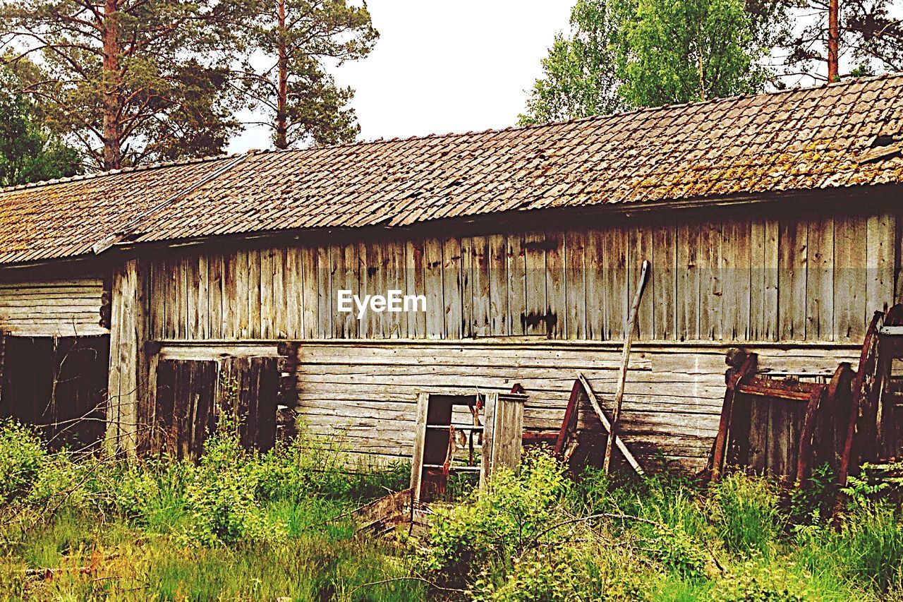 Old abandoned building in forest