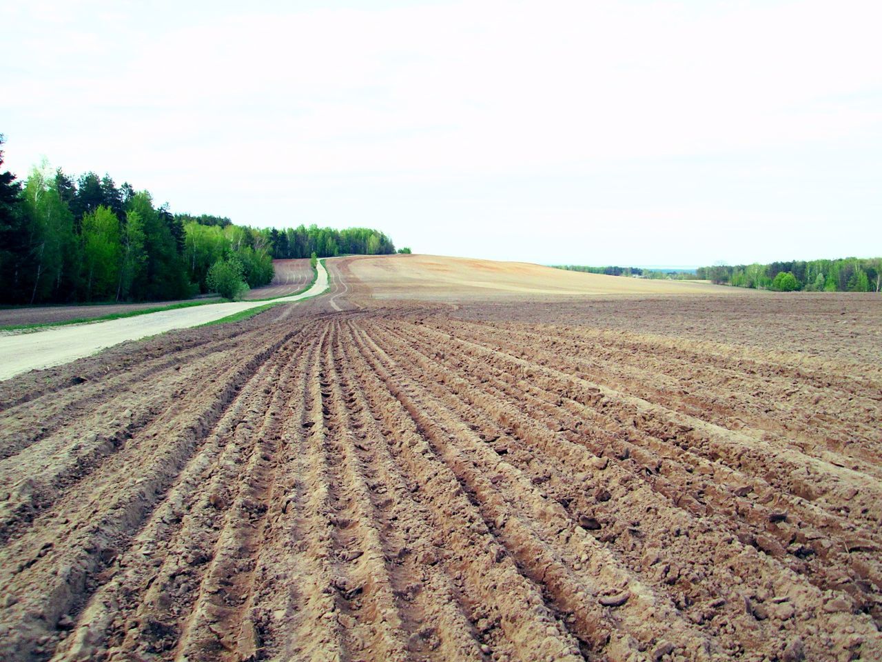 View of fields against clear sky