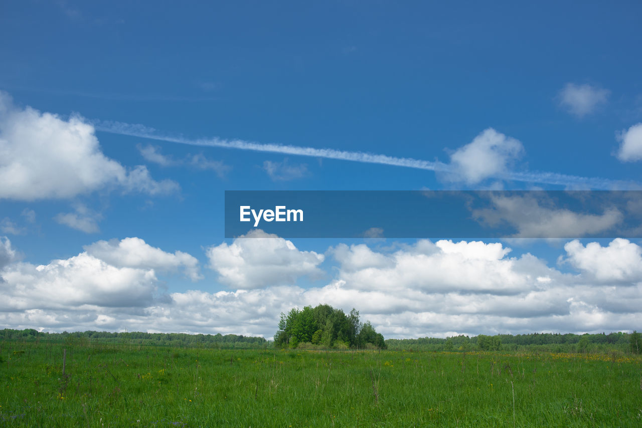 sky, cloud, environment, landscape, horizon, grassland, plant, grass, plain, nature, field, land, prairie, meadow, blue, natural environment, scenics - nature, pasture, beauty in nature, green, no people, rural scene, hill, tranquility, horizon over land, rural area, outdoors, day, tree, tranquil scene, non-urban scene, steppe, travel, agriculture, cloudscape, sunlight, growth, summer, social issues, idyllic, environmental conservation, travel destinations