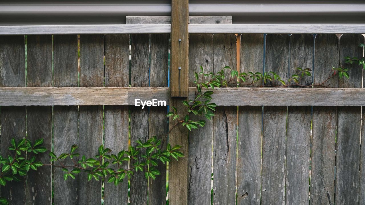 Close-up of wooden fence against wall