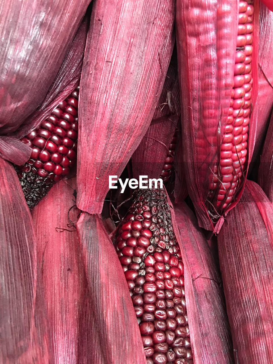 Directly above shot of maroon corn cob at market stall