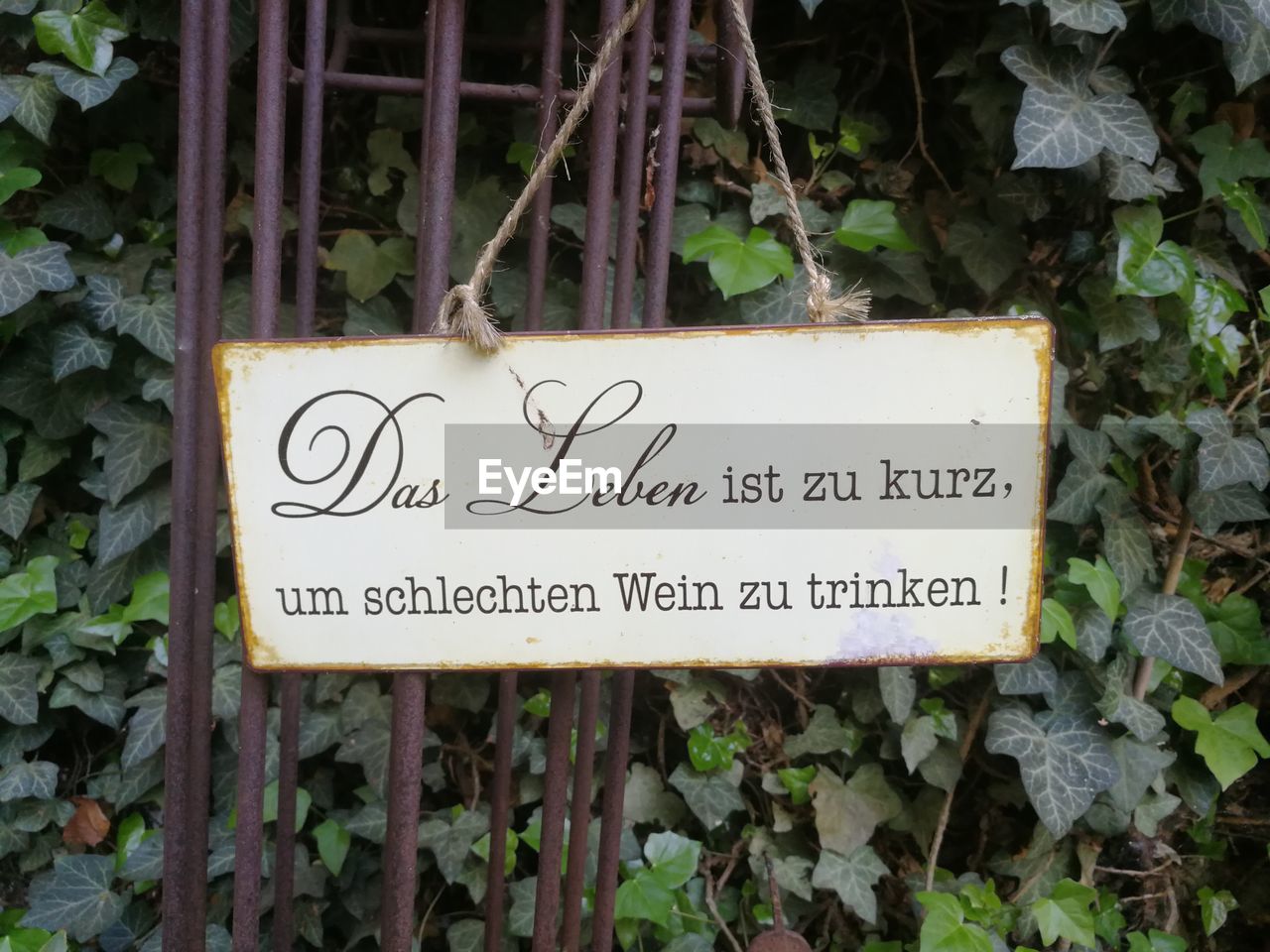 CLOSE-UP OF TEXT ON PLANT