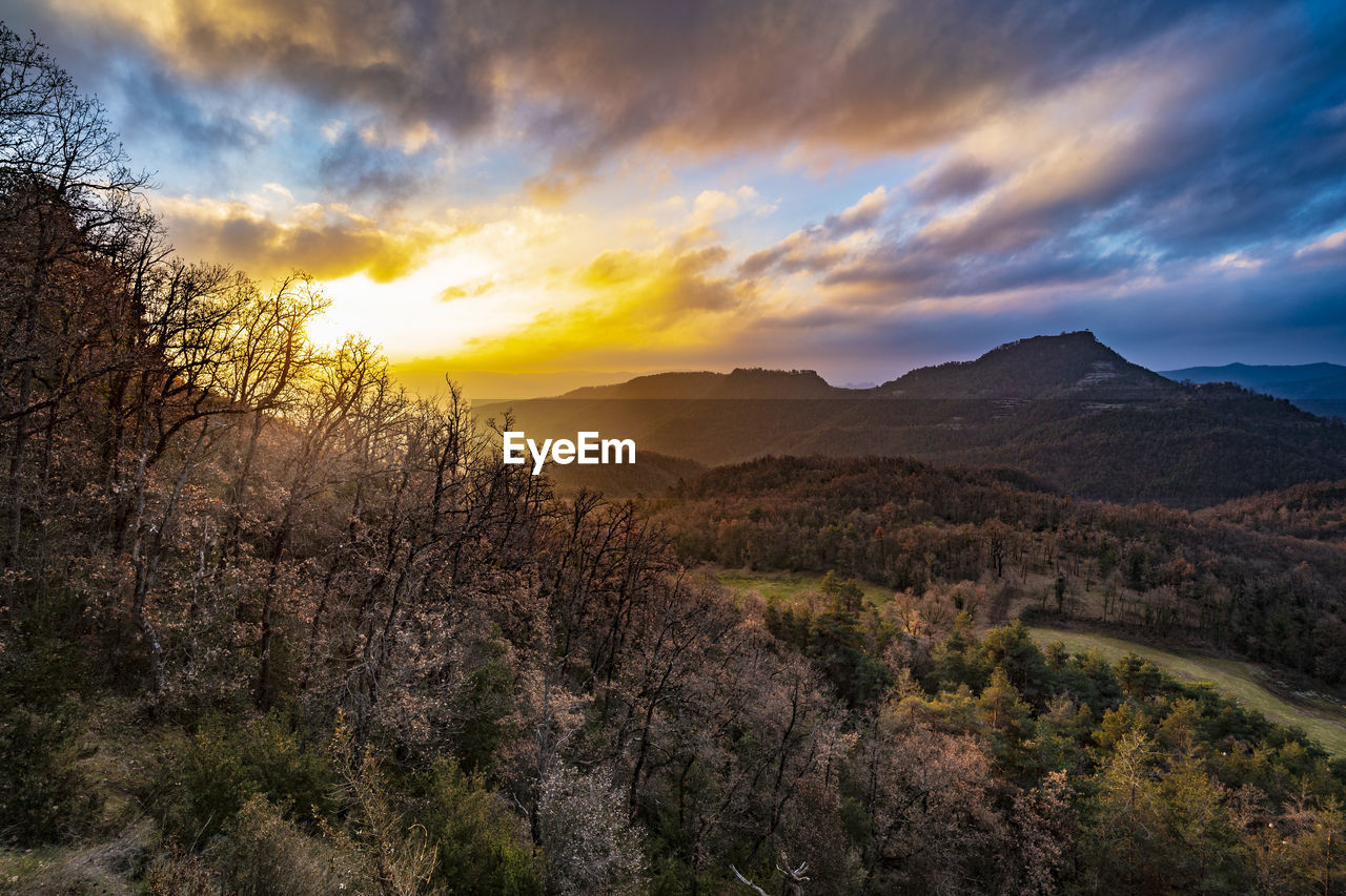 SCENIC VIEW OF LANDSCAPE DURING SUNSET