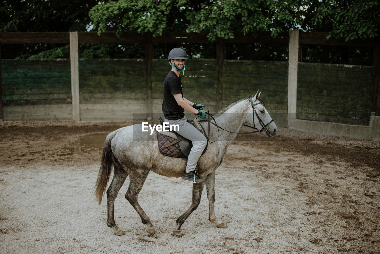 side view of horse standing on field