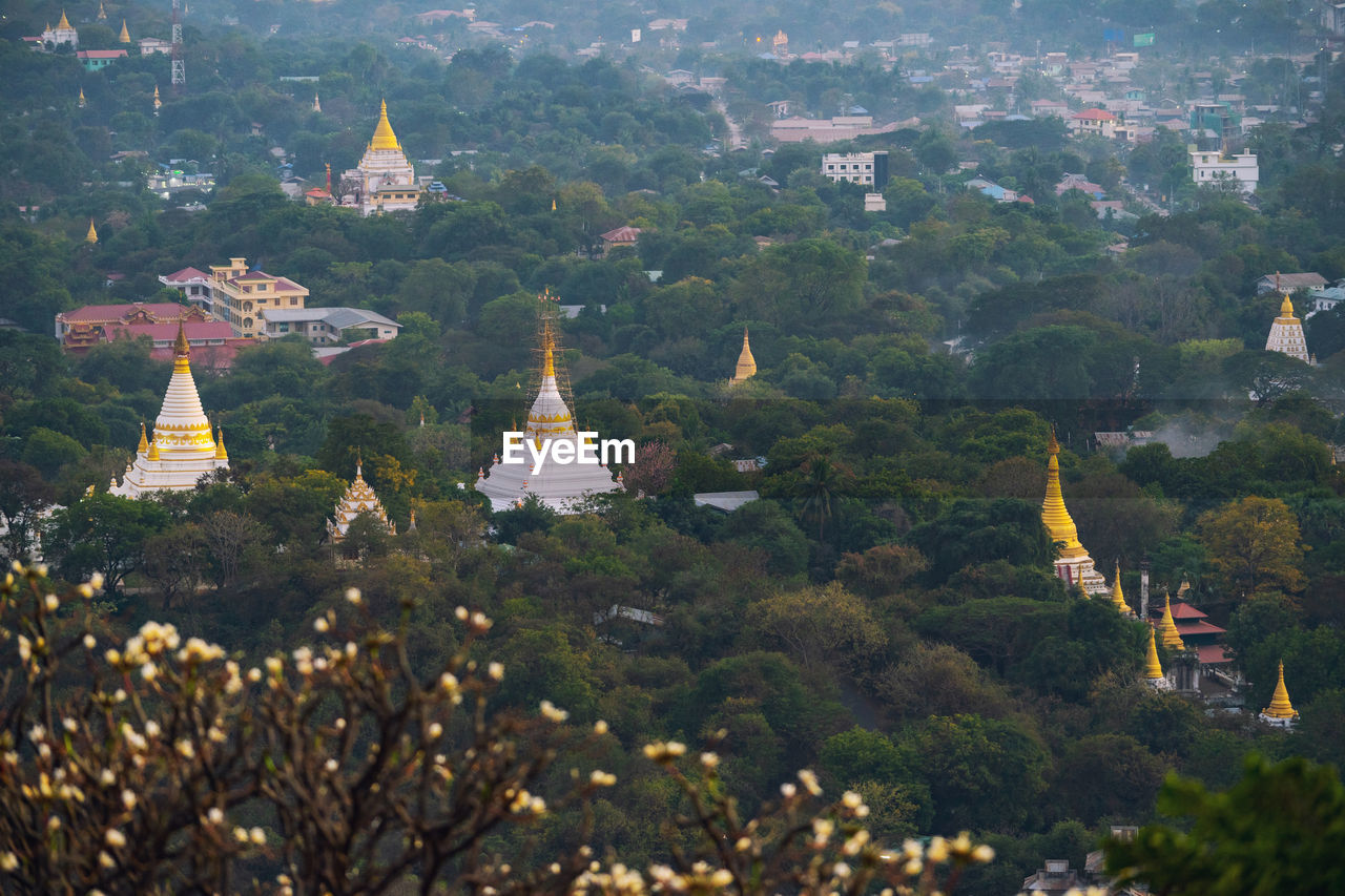 High angle view of pagoda amidst trees and buildings
