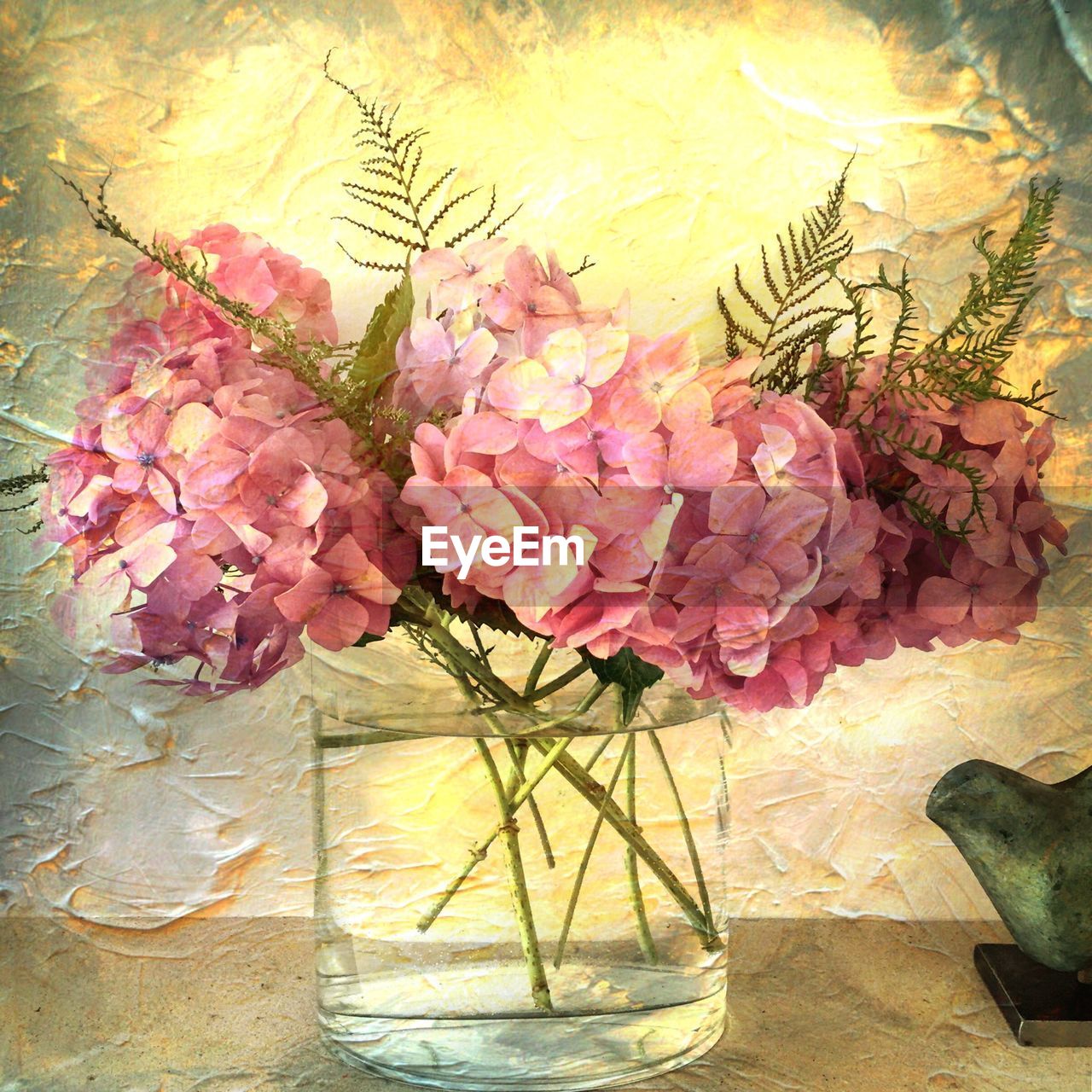 Hydrangea blooming in glass vase against wall