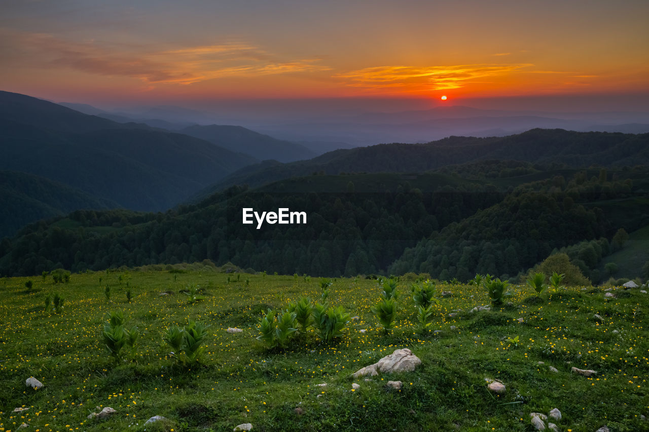 Very beautiful sunset in the mountains of chechnya in the caucasus