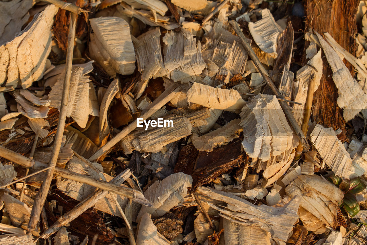 FULL FRAME SHOT OF WOOD LOGS