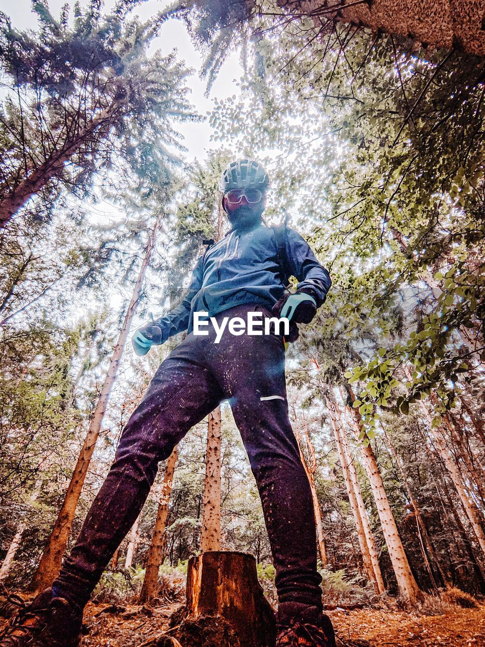 LOW ANGLE VIEW OF MAN STANDING ON TREE IN FOREST