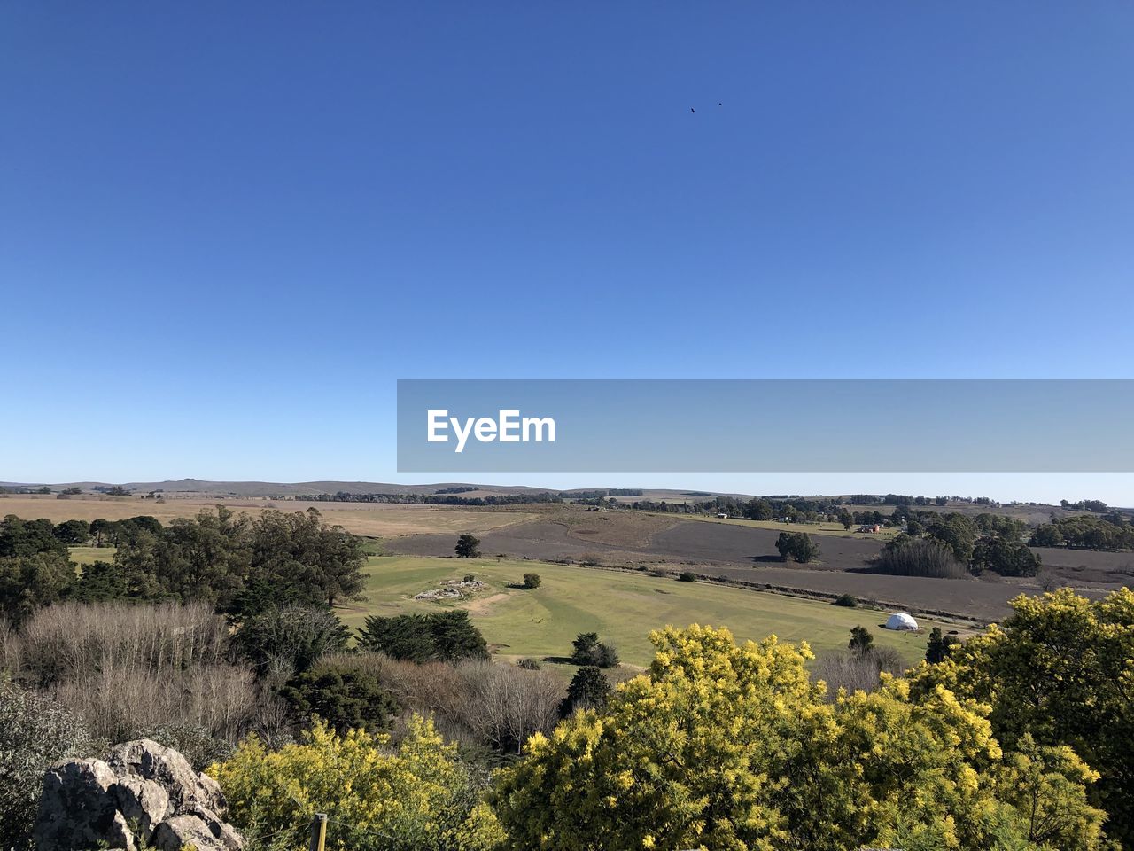 Scenic view of field against clear blue sky