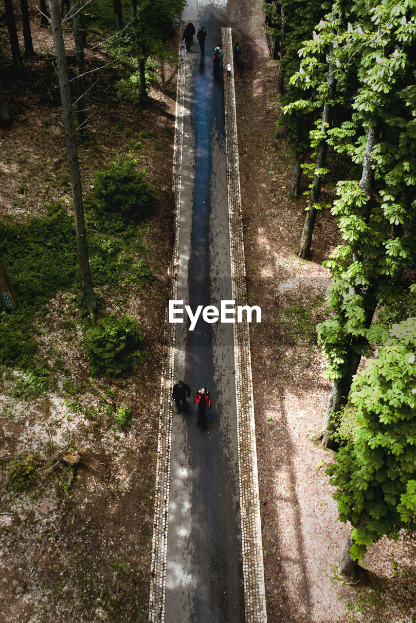 HIGH ANGLE VIEW OF PEOPLE ON ROAD IN FOREST