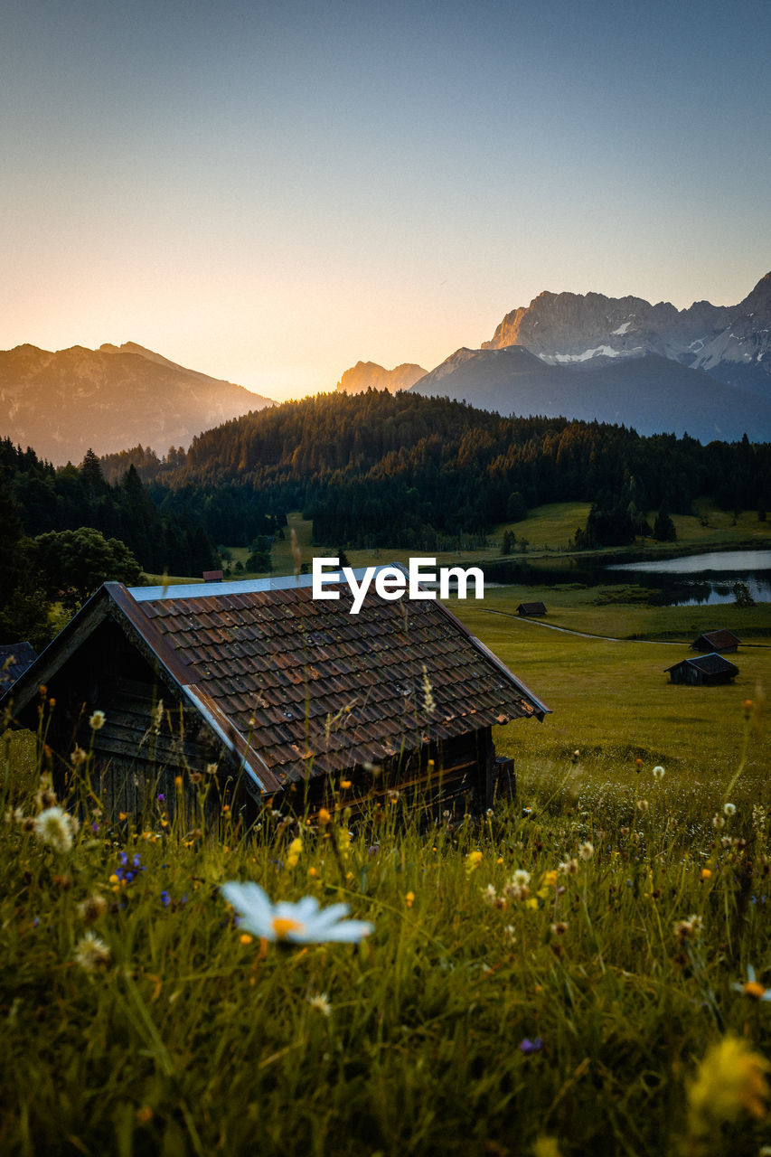 Scenic view of field against sky during sunset