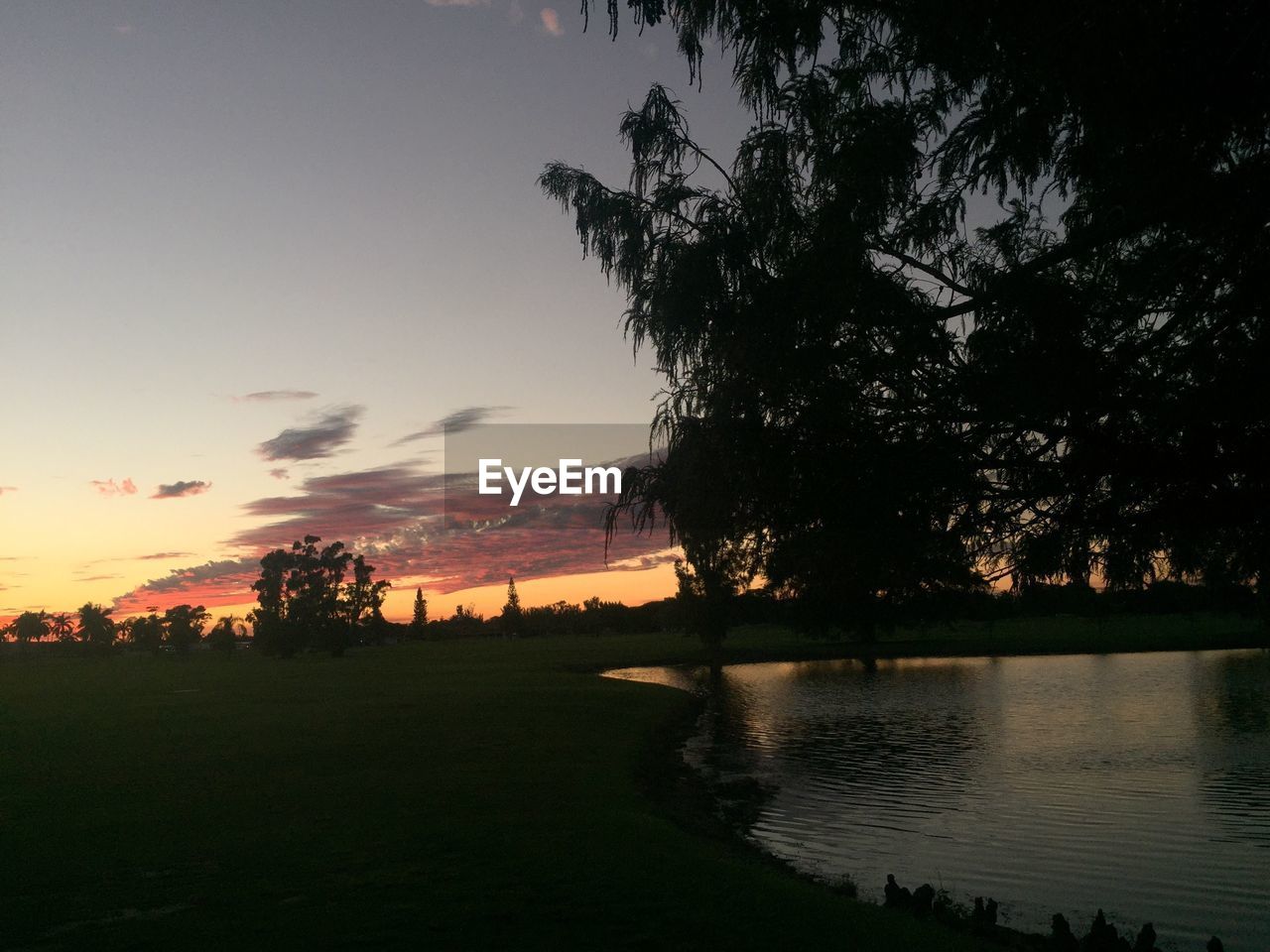 SILHOUETTE TREES BY LAKE AGAINST SKY AT SUNSET