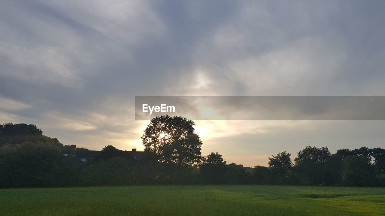 SCENIC VIEW OF FIELD AGAINST SKY DURING SUNSET