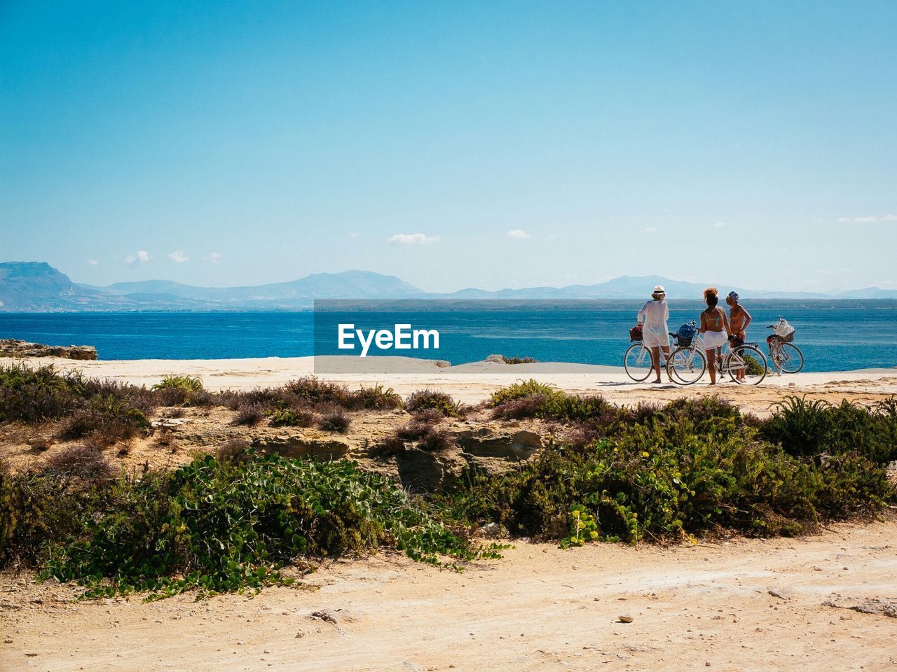 Friends with bicycles on beach against clear blue sky