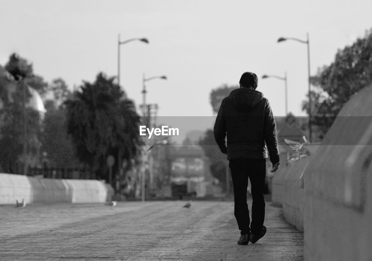 rear view of man walking on road