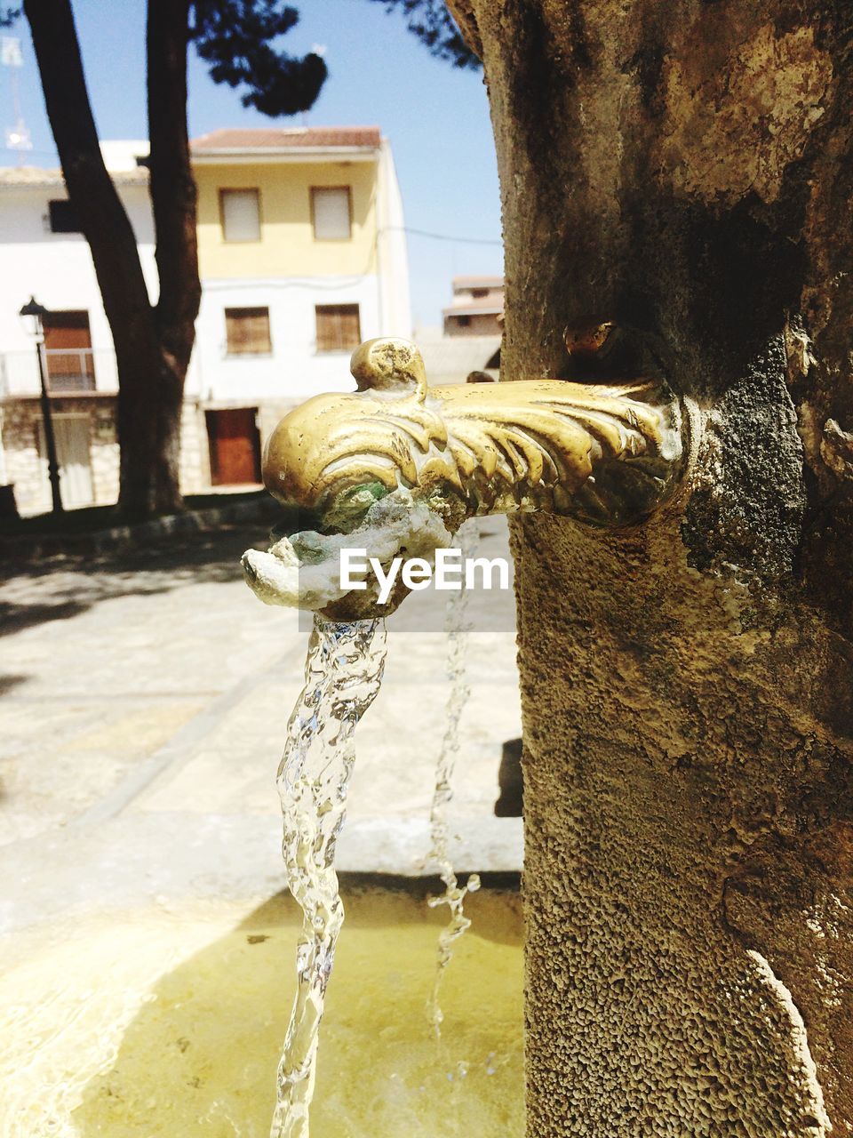 CLOSE-UP OF FOUNTAIN AGAINST TREES