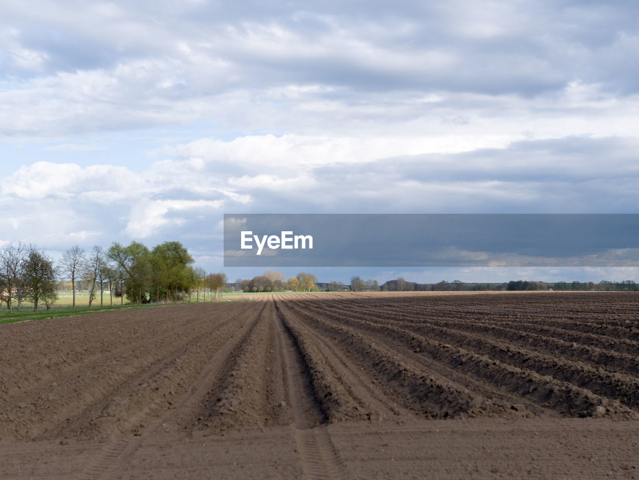 SCENIC VIEW OF FARM AGAINST SKY