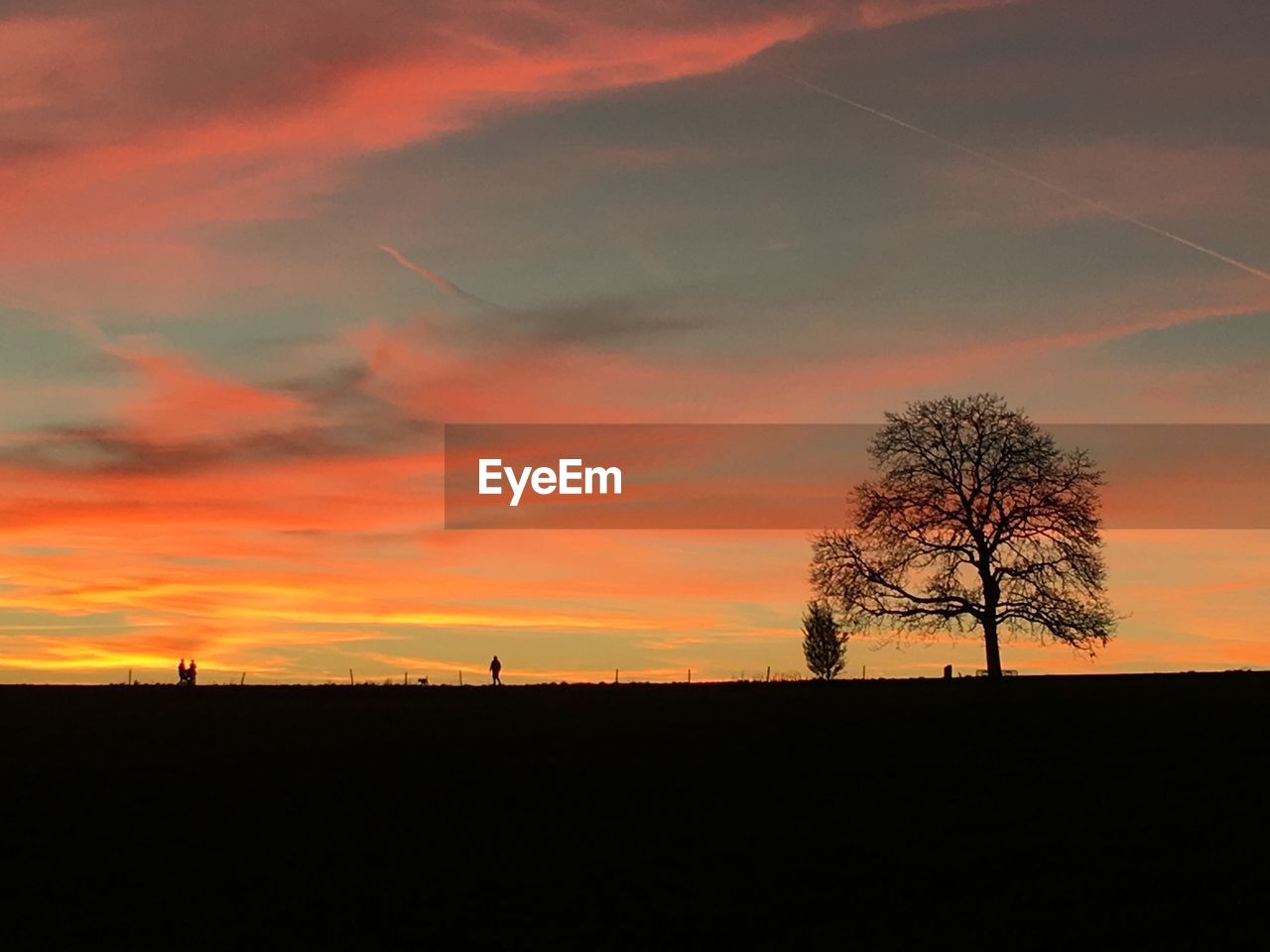 SILHOUETTE TREE AGAINST SKY DURING SUNSET