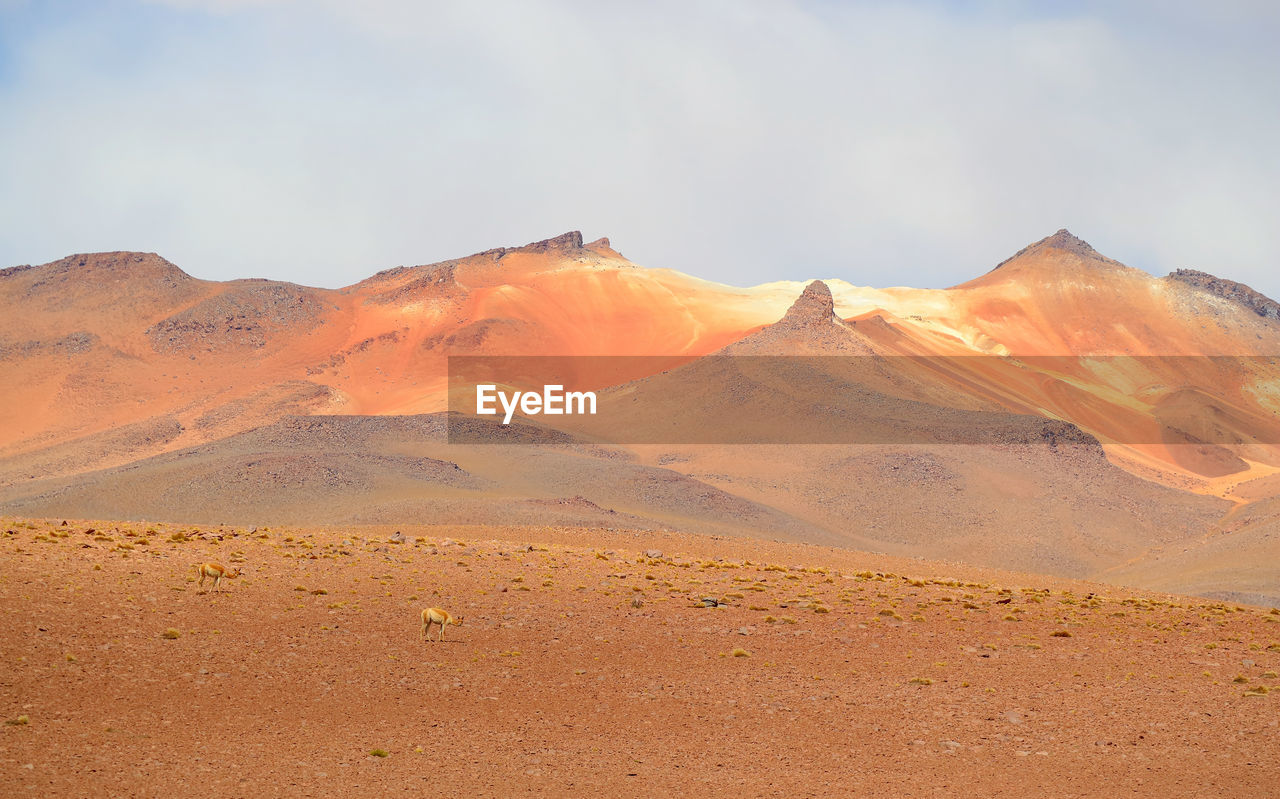 SCENIC VIEW OF ARID LANDSCAPE