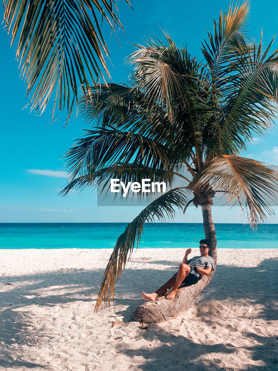 Man resting on palm tree at beach against sky