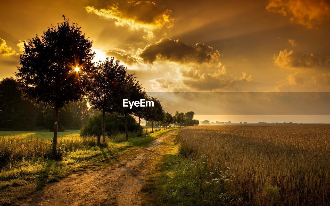 ROAD AMIDST FIELD AGAINST SKY DURING SUNSET