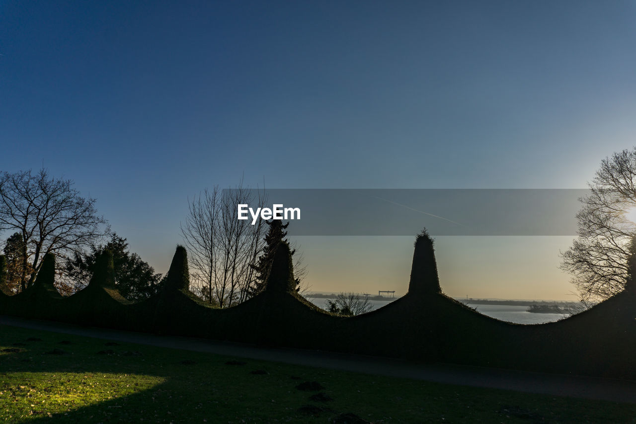 Silhouette trees against clear sky during sunset