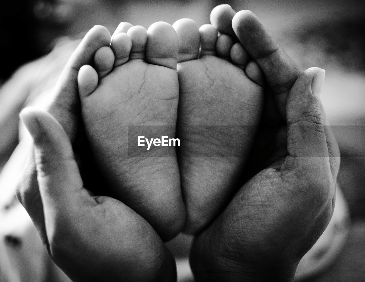 Cropped image of person holding baby feet